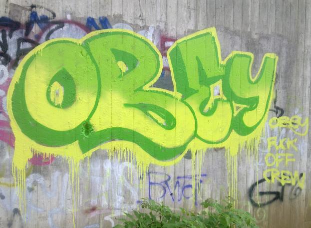 obey